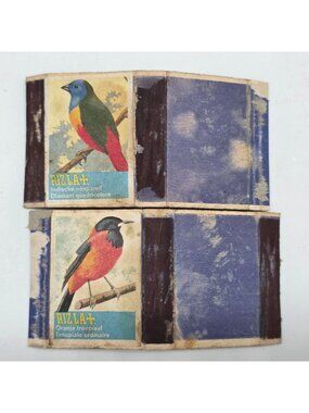 Vintage Bird Illustration Safety Matches Box Oranje Troepiaal, Indische Nonparei
